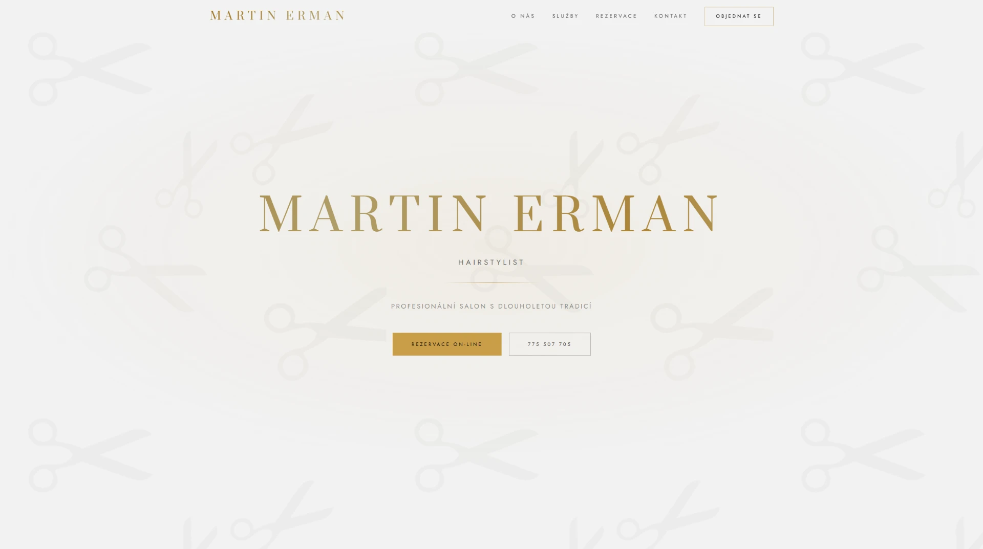 Martin Erman