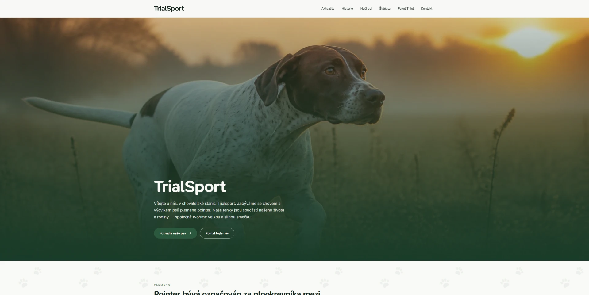 TrialSport